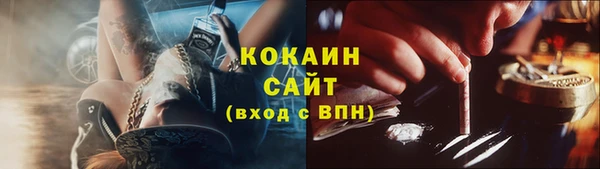 тгк Арсеньев