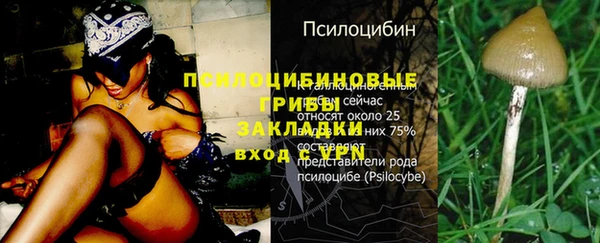 тгк Арсеньев