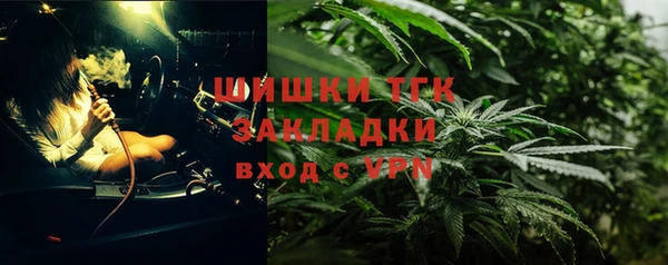 тгк Арсеньев