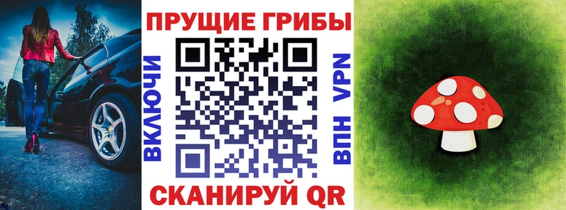 Псилоцибиновые грибы мухоморы  магазин продажи наркотиков  Волгоград 